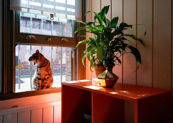 House * اسطنبول